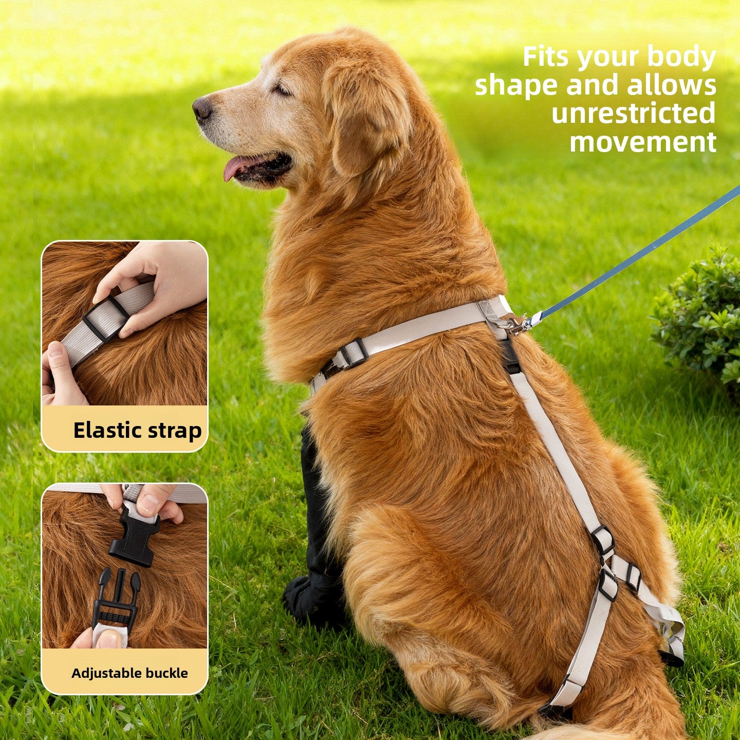 Waterproof Dog Shoes with Anti-Slip Design