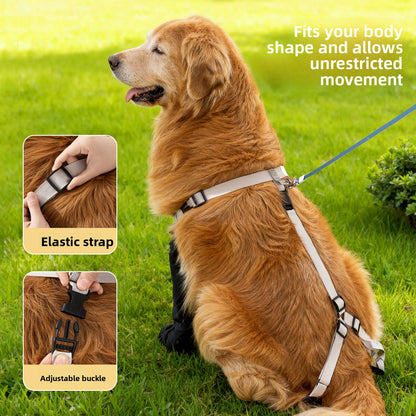 Waterproof Dog Shoes with Anti-Slip Design