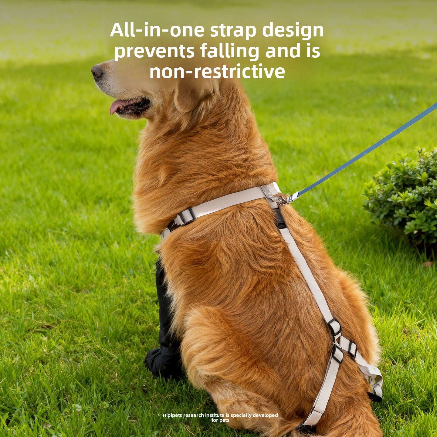 Waterproof Dog Shoes with Anti-Slip Design