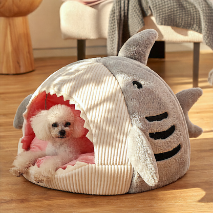 Shark cat nest