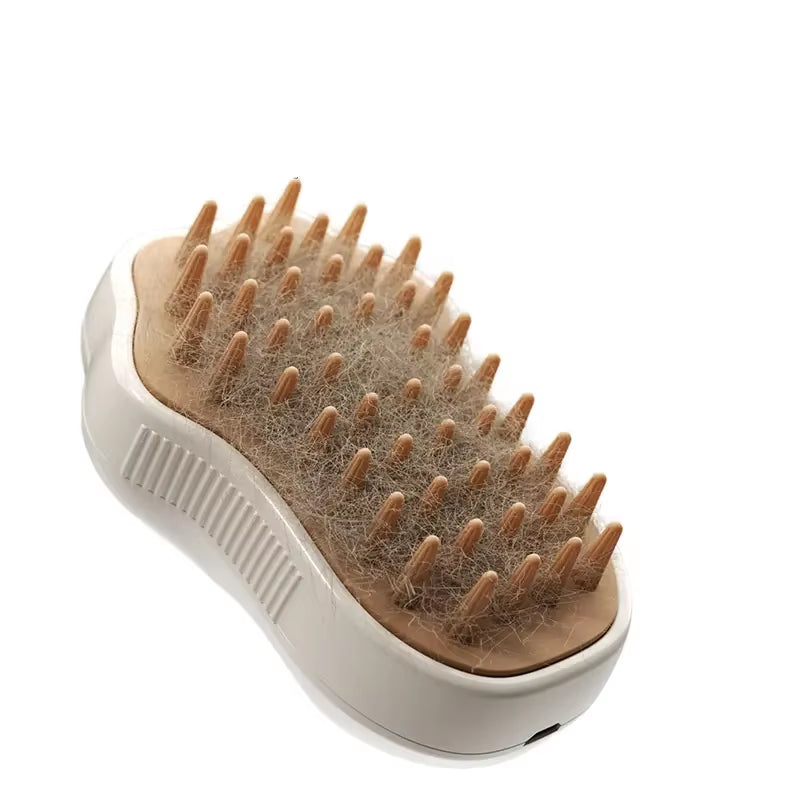 The Steam Brush.