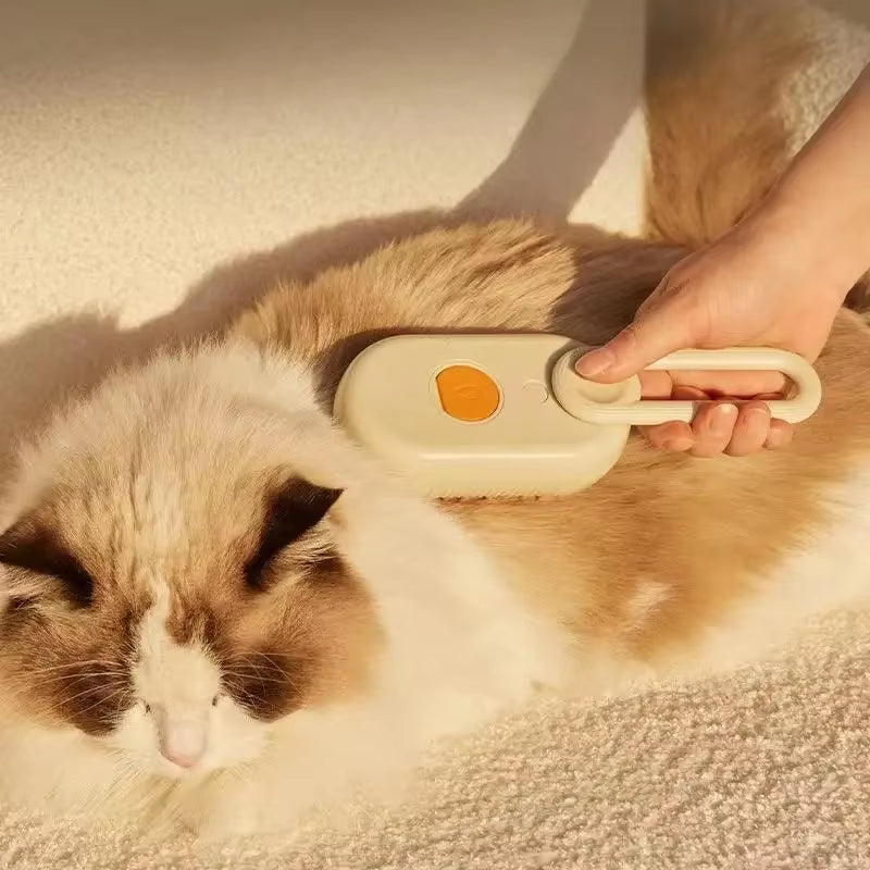 The Steam Brush..