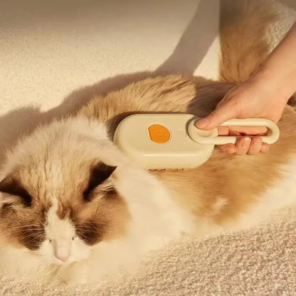 The Steam Brush..