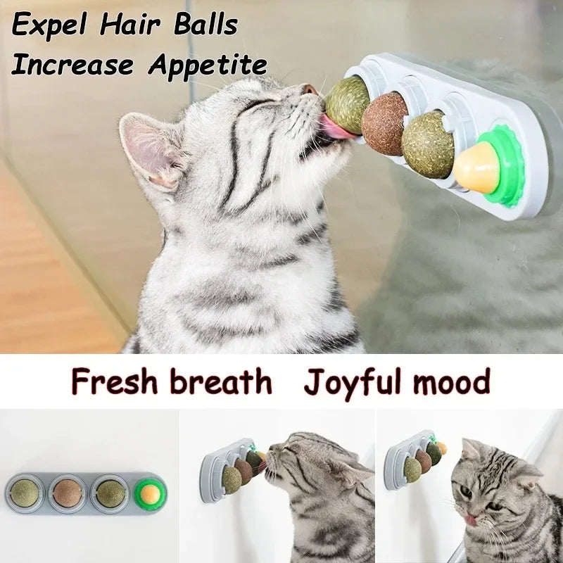 4 in 1 Rotating Catnip Silver Vine Ball 
