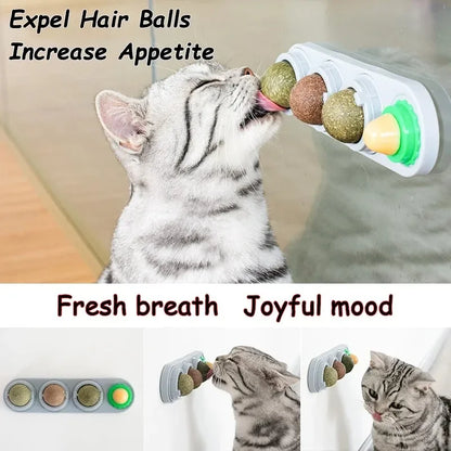 4 in 1 Rotating Catnip Silver Vine Ball 