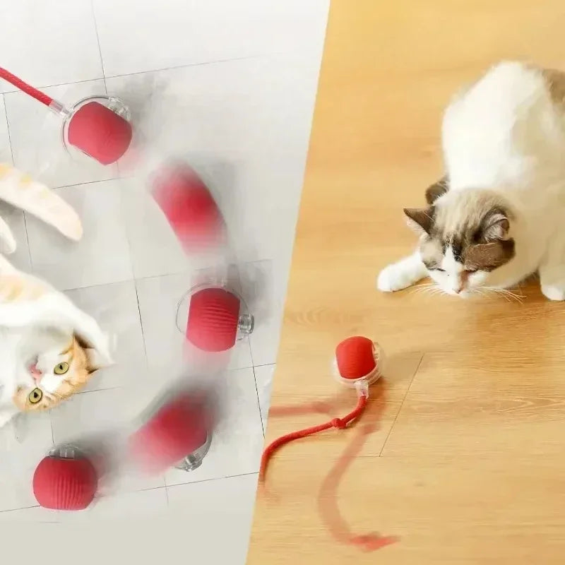 Automatic cat Rolling Ball with Tail