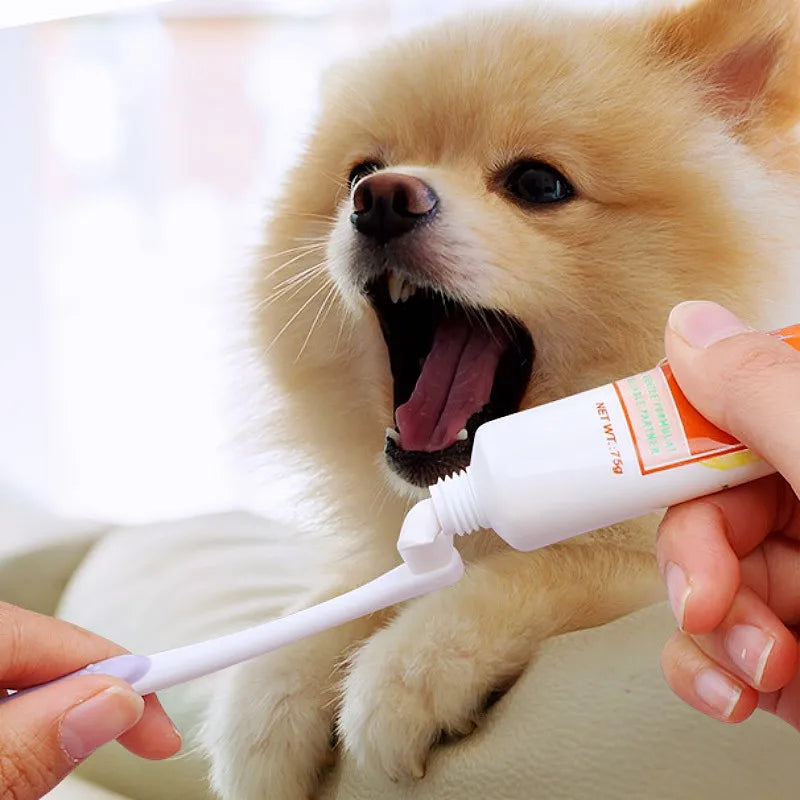 Mini Head Pet Toothbrush Soft Hair