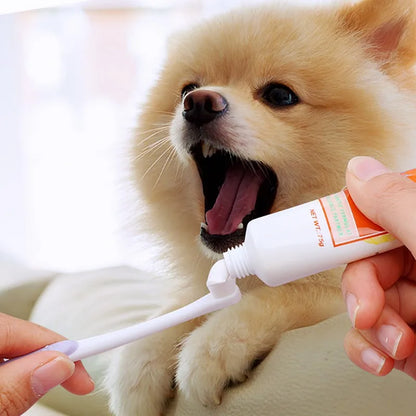 Mini Head Pet Toothbrush Soft Hair