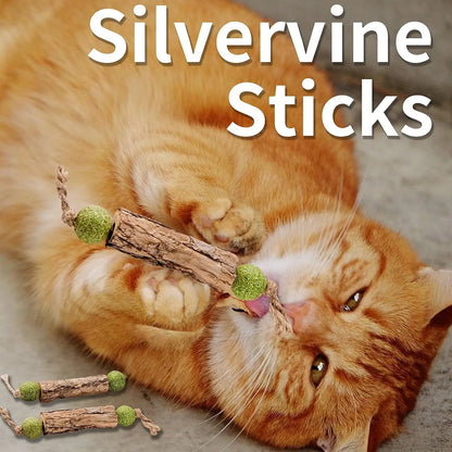 1Pc Cat Cleaning Teeth Pure Natural Catnip