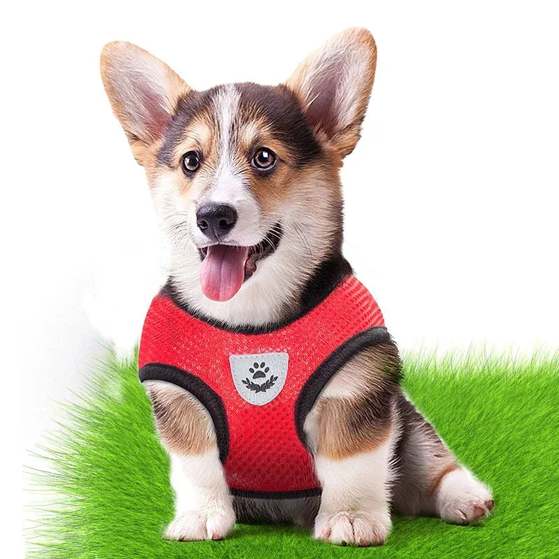  Puppy Harness Adjustable Vest