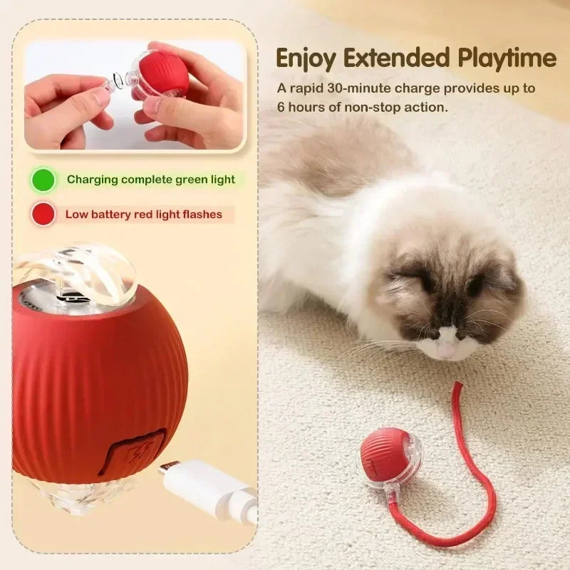  Automatic cat Rolling Ball with Tail