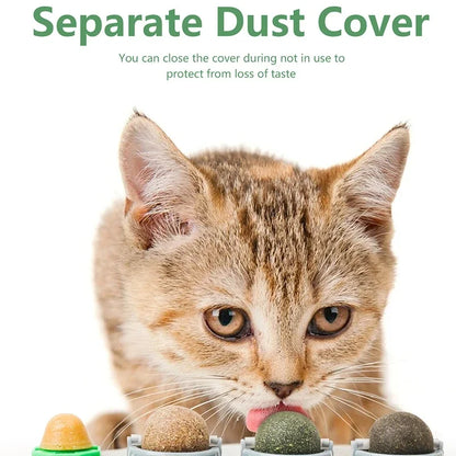 4 in 1 Rotating Catnip Silver Vine Ball 