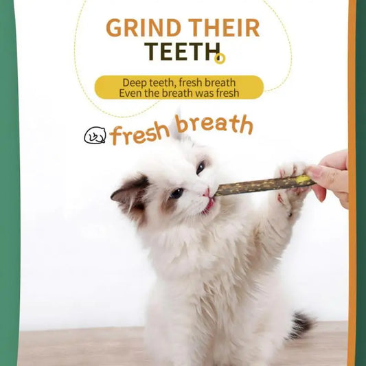 100Pcs/Lot Natural Matatabi Pet Cat Snacks Sticks Cleaning Tooth 