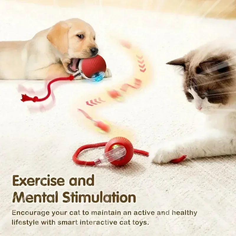  Automatic cat Rolling Ball with Tail