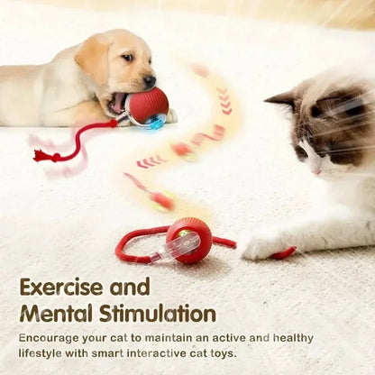  Automatic cat Rolling Ball with Tail