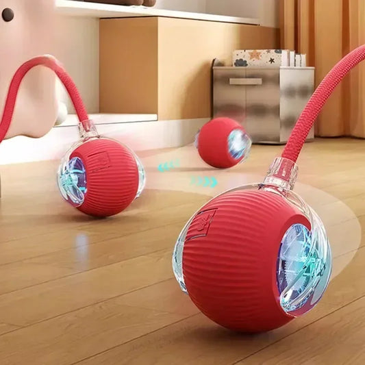  Automatic cat Rolling Ball with Tail