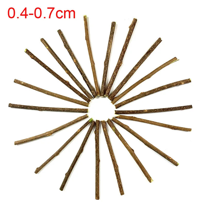 100Pcs/Lot Natural Matatabi Pet Cat Snacks Sticks Cleaning Tooth 