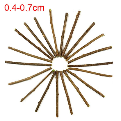 100Pcs/Lot Natural Matatabi Pet Cat Snacks Sticks Cleaning Tooth 