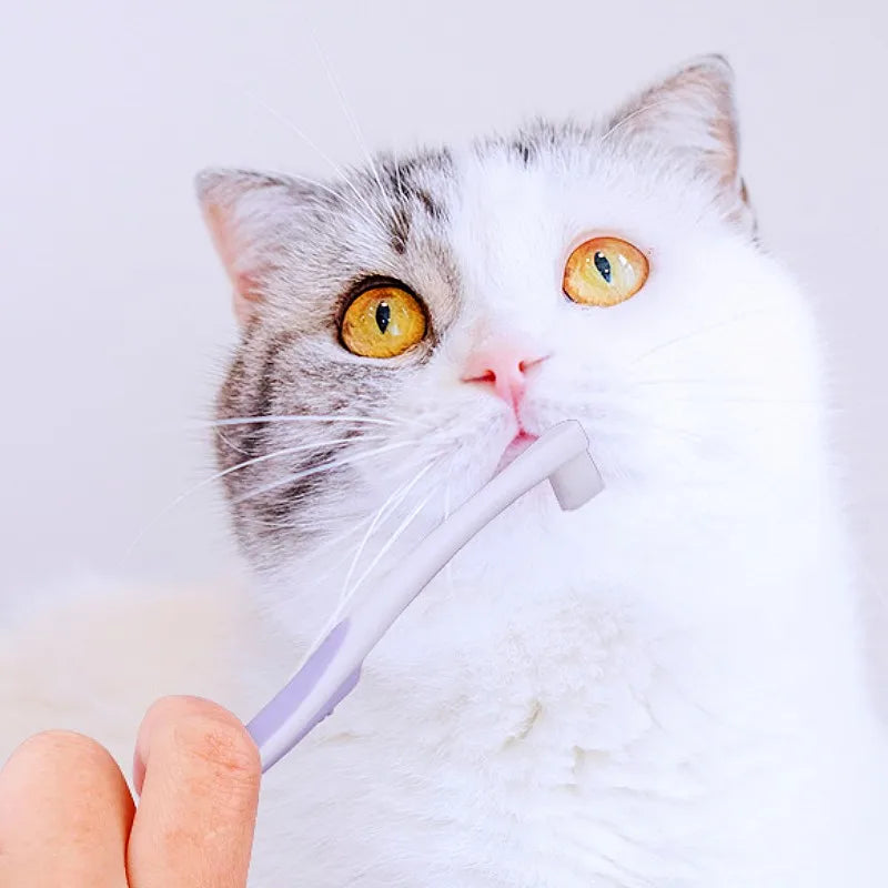 Mini Head Pet Toothbrush Soft Hair