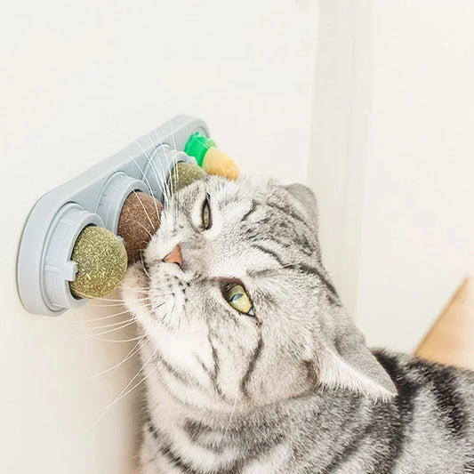 4 in 1 Rotating Catnip Silver Vine Ball 