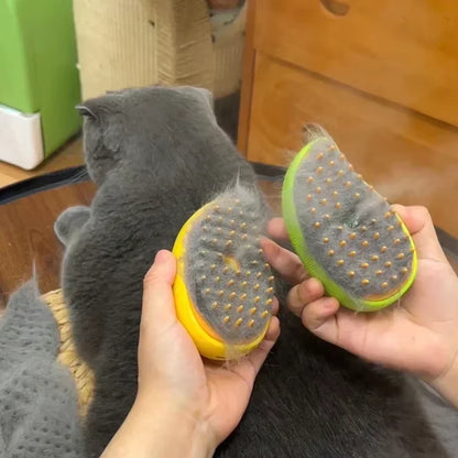 The Steam Brush