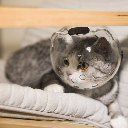 Adjustable Pet Safety Collar for Grooming